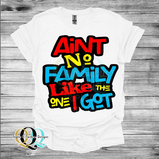 Ain't No Family Like The One I got - Family Reunion Shirt